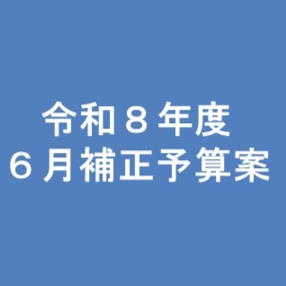 6月補正予算案