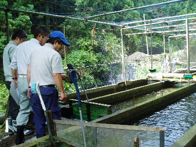 魚病巡回指導