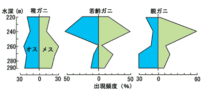図:稚ガニ、若齢ガニ、親ガニの分布域