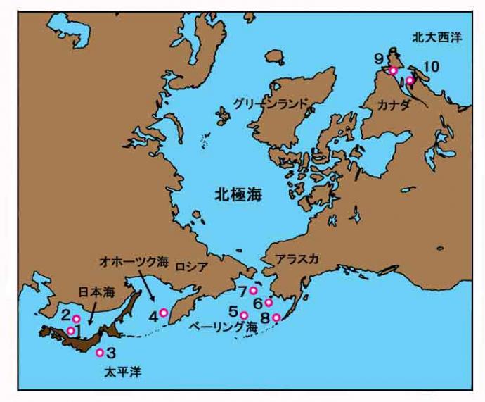 図:調査海域(日本海、太平洋、オホーツク海、ベーリング海)
