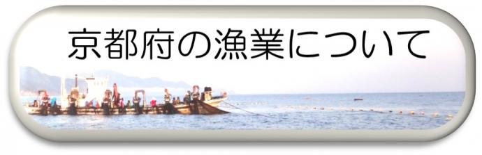 京都府の漁業について