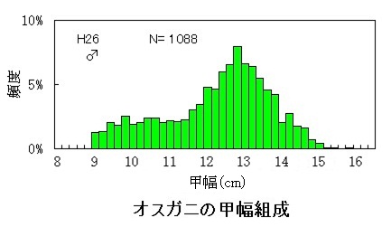 オスガニの大きさ割合