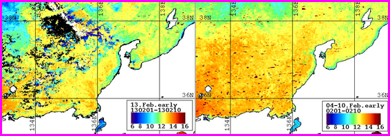 ノア表面水温分布（２月上旬）