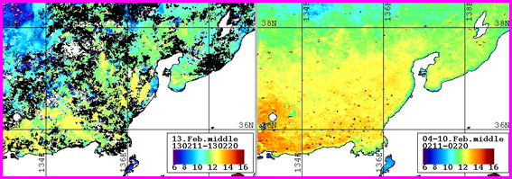 ノア表面水温分布（２月中旬）