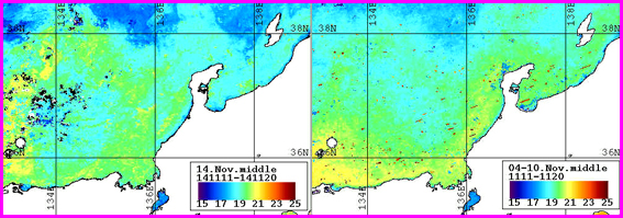 ノア表面水温分布（11月中旬）
