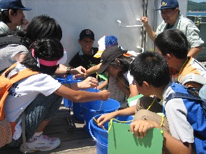 海洋観測体験その2、海水を採水して水温の測定です。この日の水温は24.5度でした。