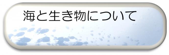 海と生き物について