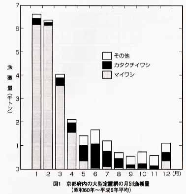 季報５３号 定置網漁業の資源管理