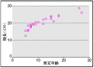 図4 カラスガイの成長曲線