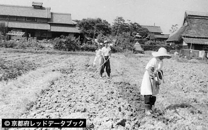 田堀り