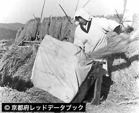脱穀