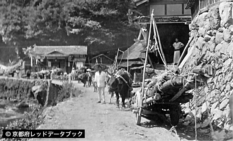 昭和天皇即位の大典用に雲ヶ畑から用材を牛に引かせて運んだ