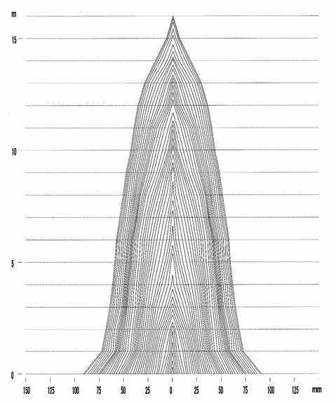 図10  比較的若齢樹（pn05b）の樹幹解析図