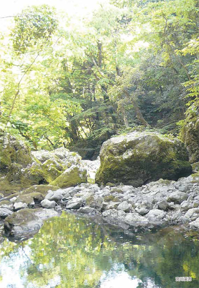 宮川渓流