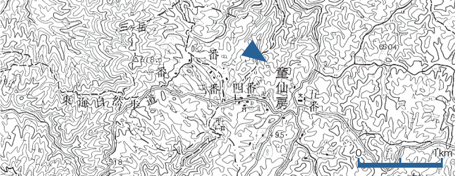 5万分の1 奈良、上野