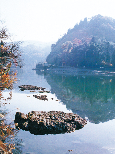 亀石と同じ酸性疑灰岩より産した放散虫の走査型電顕写真。長さ0.3mm程度。左端のものがParahsuum simplum