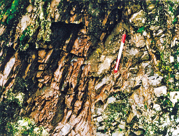 京都市右京区京北周山町の赤色頁岩 ジュラ紀古世の放散虫化石を産する。