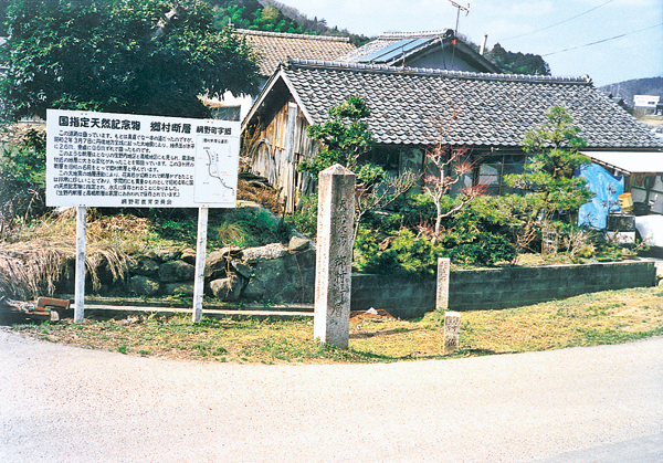 京丹後市網野町郷小字小池、天然記念物郷村断層の保存状況