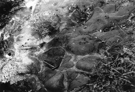 右京区京北細野町芦見谷川の河床に見られる枕状溶岩。