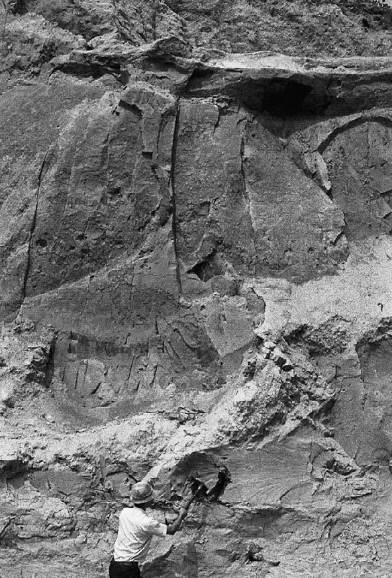 スコップの先がトウヨウゾウ化石がうまっていたところ（左の写真中央部）。上の厚い粘土層はMa 6