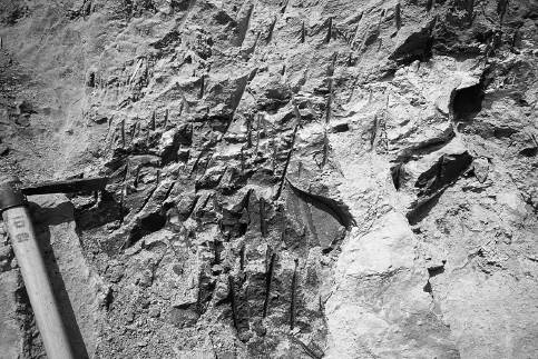 左の写真の裏側（南側）の露頭を南東からみる。つるはしの先の白色の薄い層が山田火山灰。1992年8月6日　石田志朗撮影