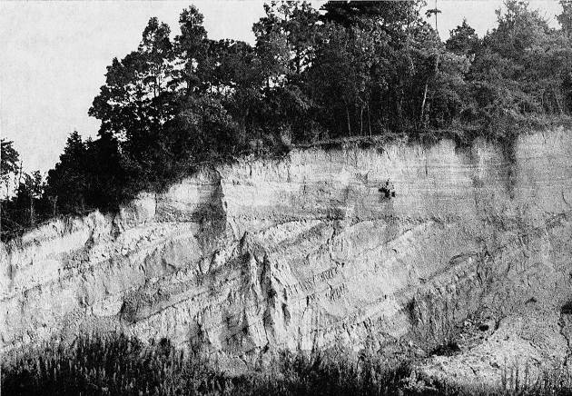 精華町下狛僧坊の傾斜不整合 1975年 小村良二撮影