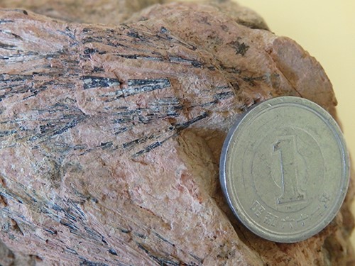 白石山の河辺石（益富地学会館標本）。黒色で樹枝状結晶を示す。