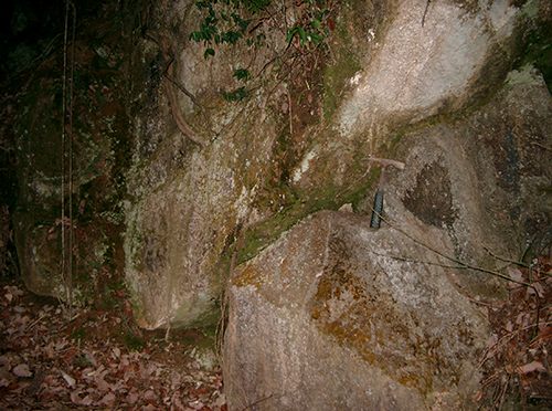 花崗斑岩の露頭。冷却節理が顕著。本露頭の西側に火砕岩様岩脈が認められた。