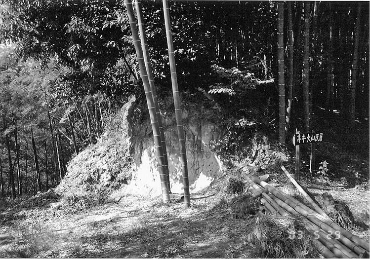 井手町井手南開 橘諸兄公旧跡道路向かい(南)の崖、南西を見る。2003年5月29日 池田俊夫撮影