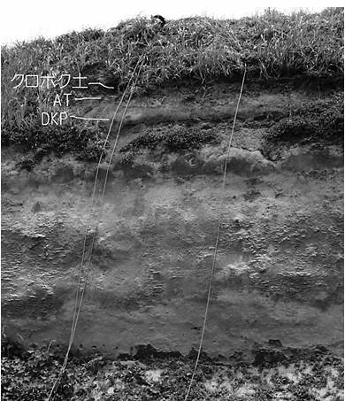 箱石浜の段丘堆積物。2013年6月　小滝篤夫撮影