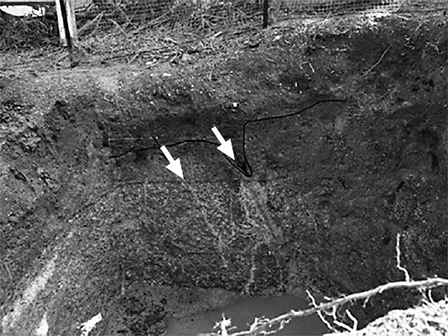 郷村断層（樋口地区）の北側で掘られたトレンチ。