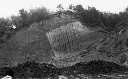 京都市西京区灰方のゴルフクラブ南側の露頭全景　右側は基盤の丹波層群。1972年5月16日　石田志朗撮影