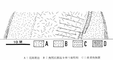 当時の京北町灰屋の酸性重複岩脈の露頭スケッチ（貴治1984による）