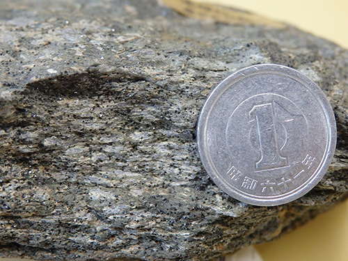 細粒の磁鉄鉱結晶を含む緑色岩（益富地学会館標本）