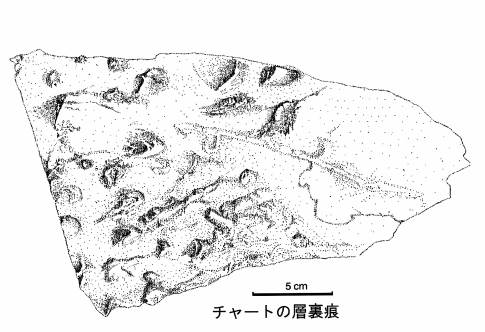 宇治田原町の層状チャートに見られる層裏痕(スケッチ)