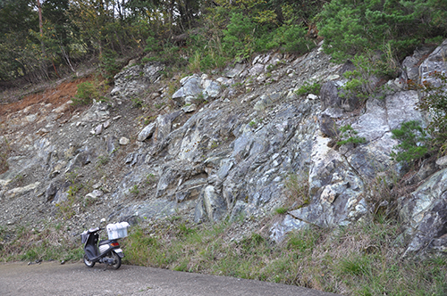 蛇紋岩の露頭（山本睦徳）