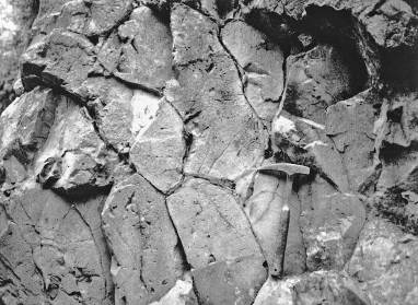 当時の京北町芹生の枕状溶岩。1978年頃撮影