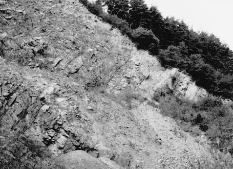 雲ヶ畑栗夜叉谷の旧採石場の崖 1975年頃撮影