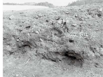 舞鶴市大丹生　浦入遺跡で発見された縄文前期の海食崖