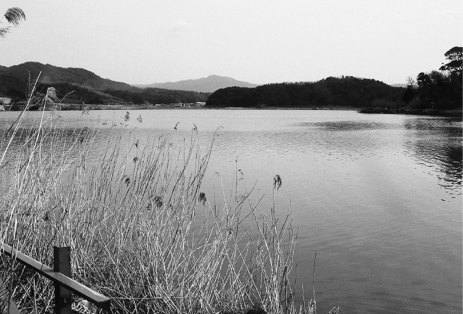 網野町小浜付近の離湖