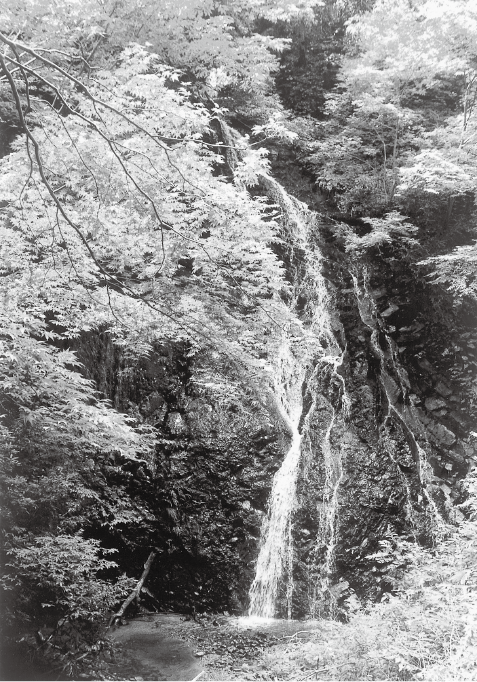 京丹後市弥栄町　味土野大滝