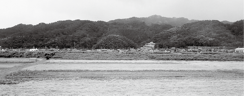 野田川からみる山田断層崖