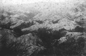 写真-8