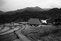 写真-1