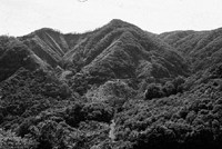 写真-17