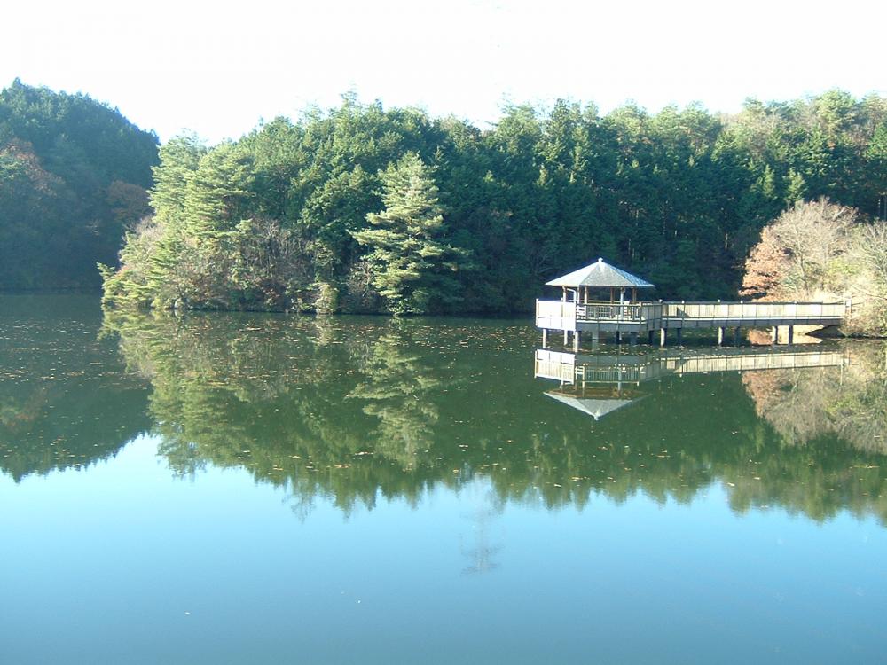 大正池　遠目