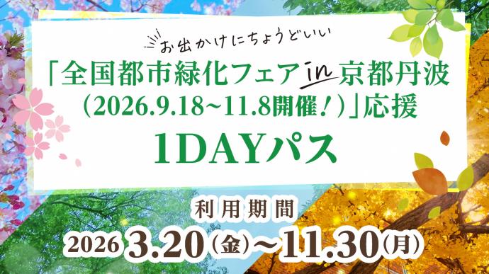 1daypass画像