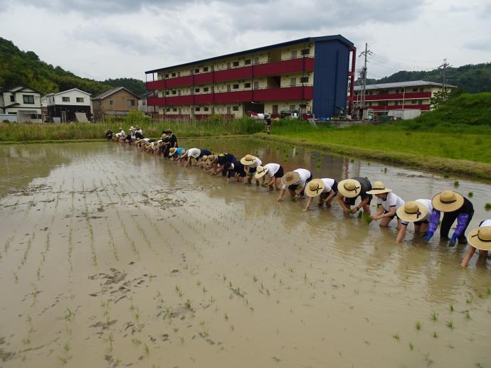 遠足