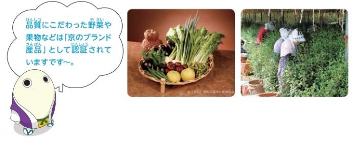 品質にこだわった野菜や果物などは「京のブランド産品」として認証されていますです～。