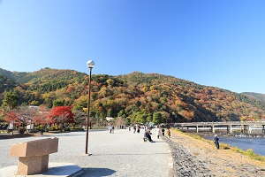 20221118arasiyama4.JPG